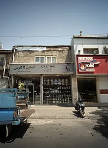 استیل کاکتوس