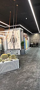 کاشی دانیتا