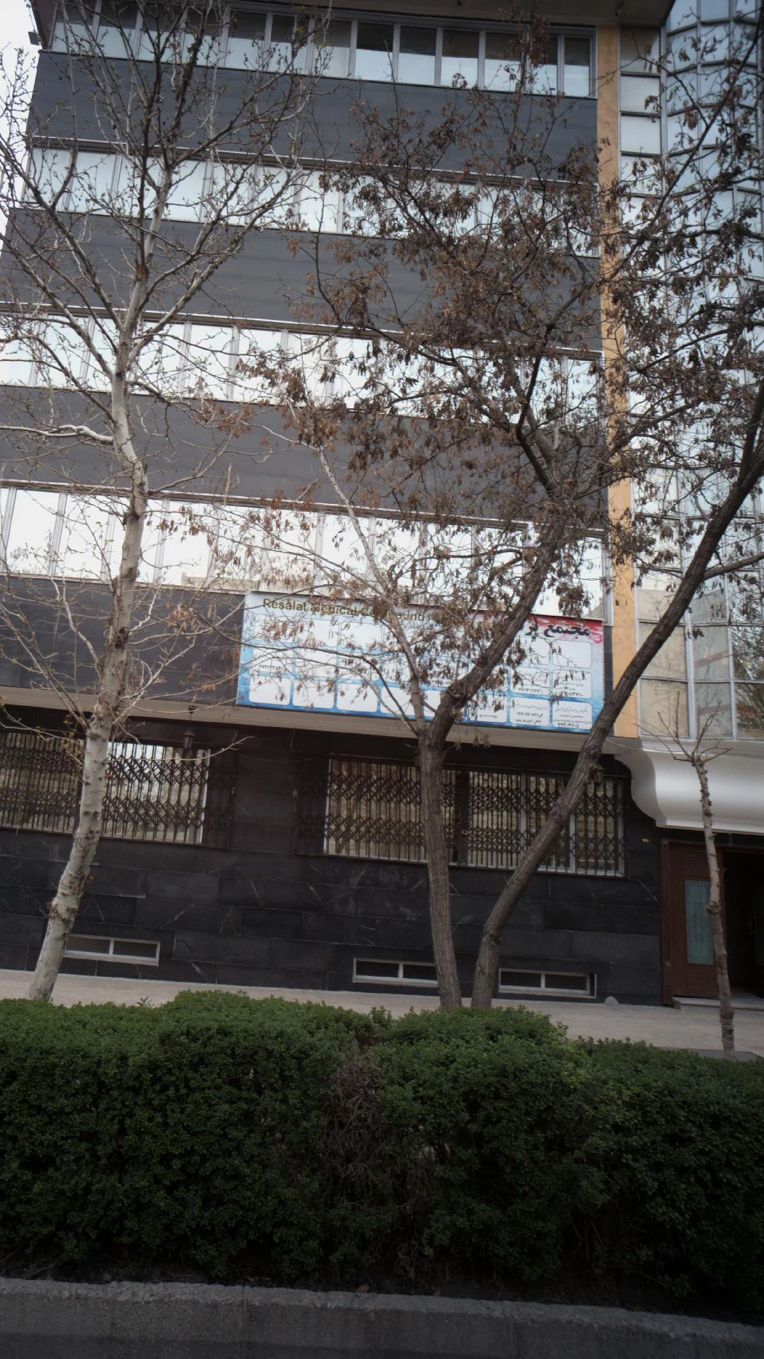 دکتر سلمی یزدی نژاد