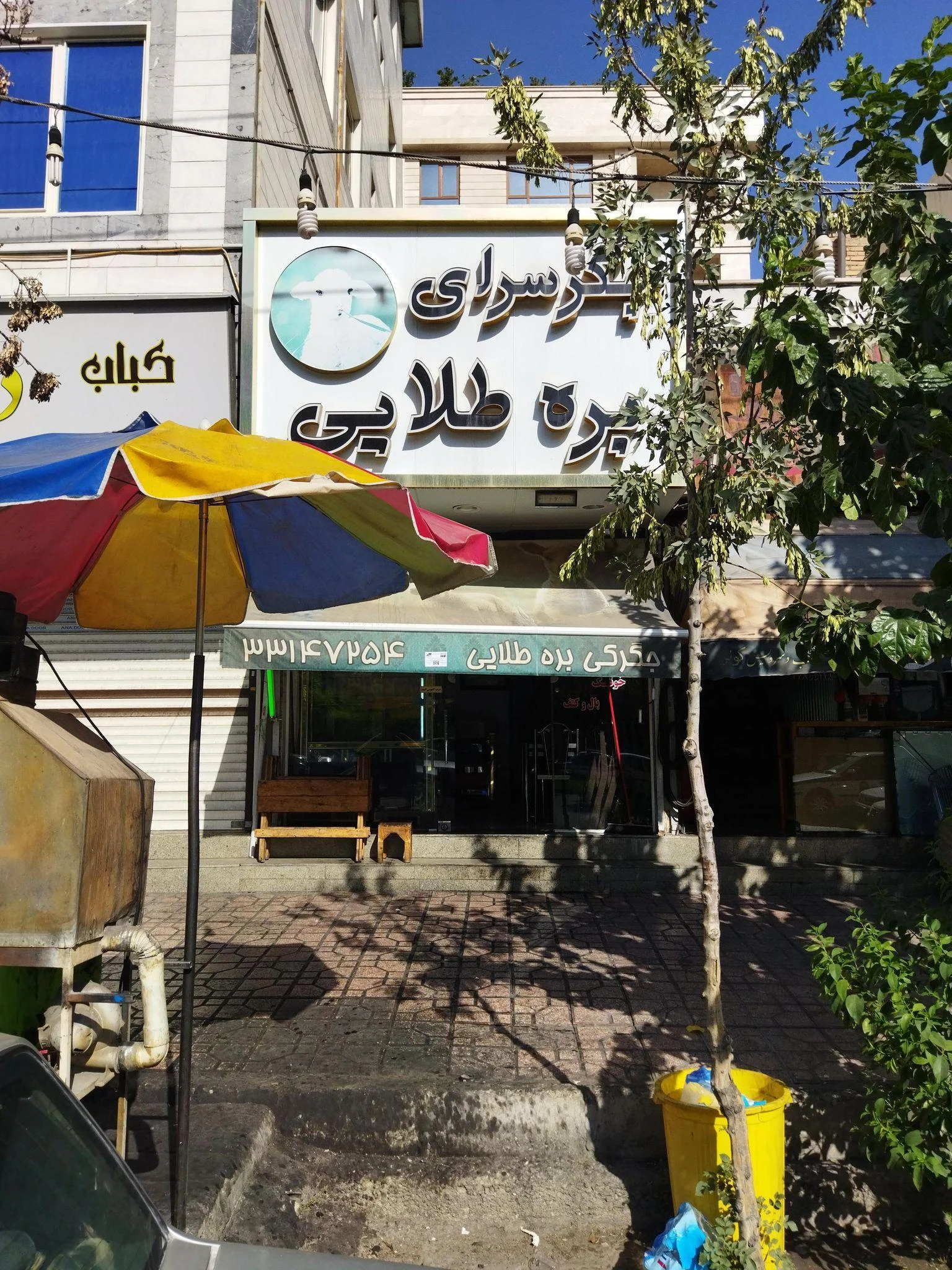 جگرکی بره طلایی شعبه یک - تصویر 2