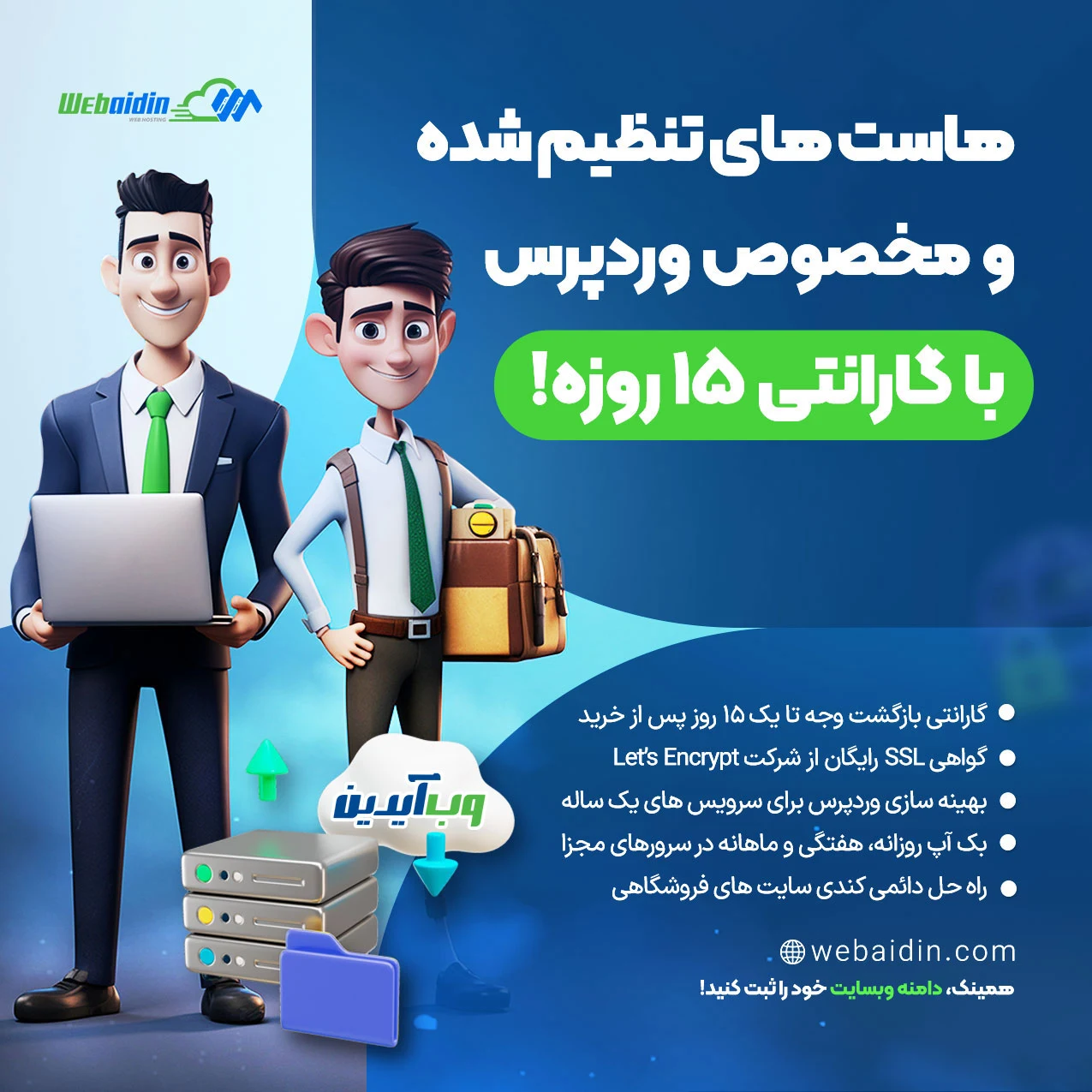 خدمات هاستیگ وب آیدین - تصویر 2