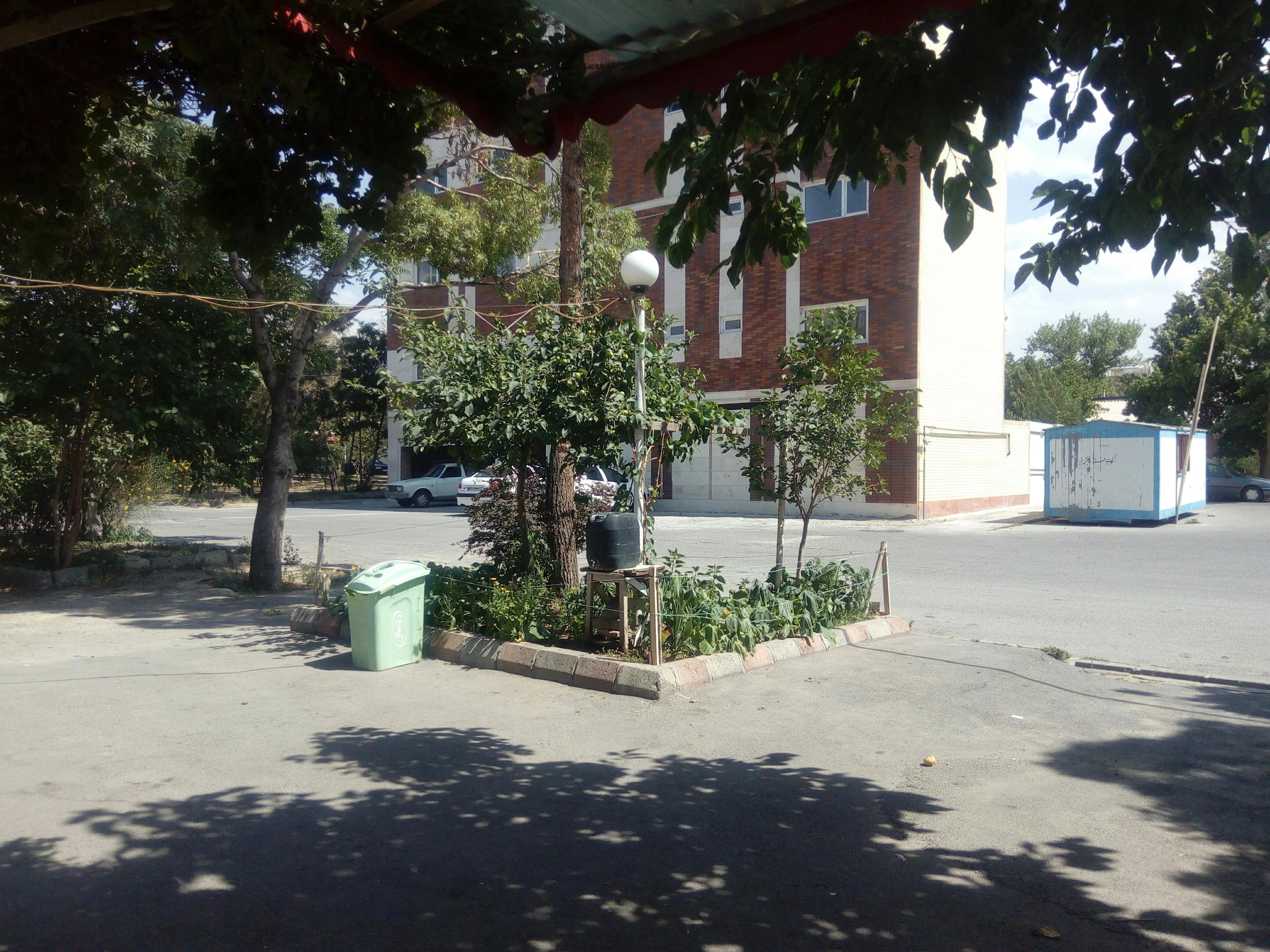 سوپر مارکت ماد