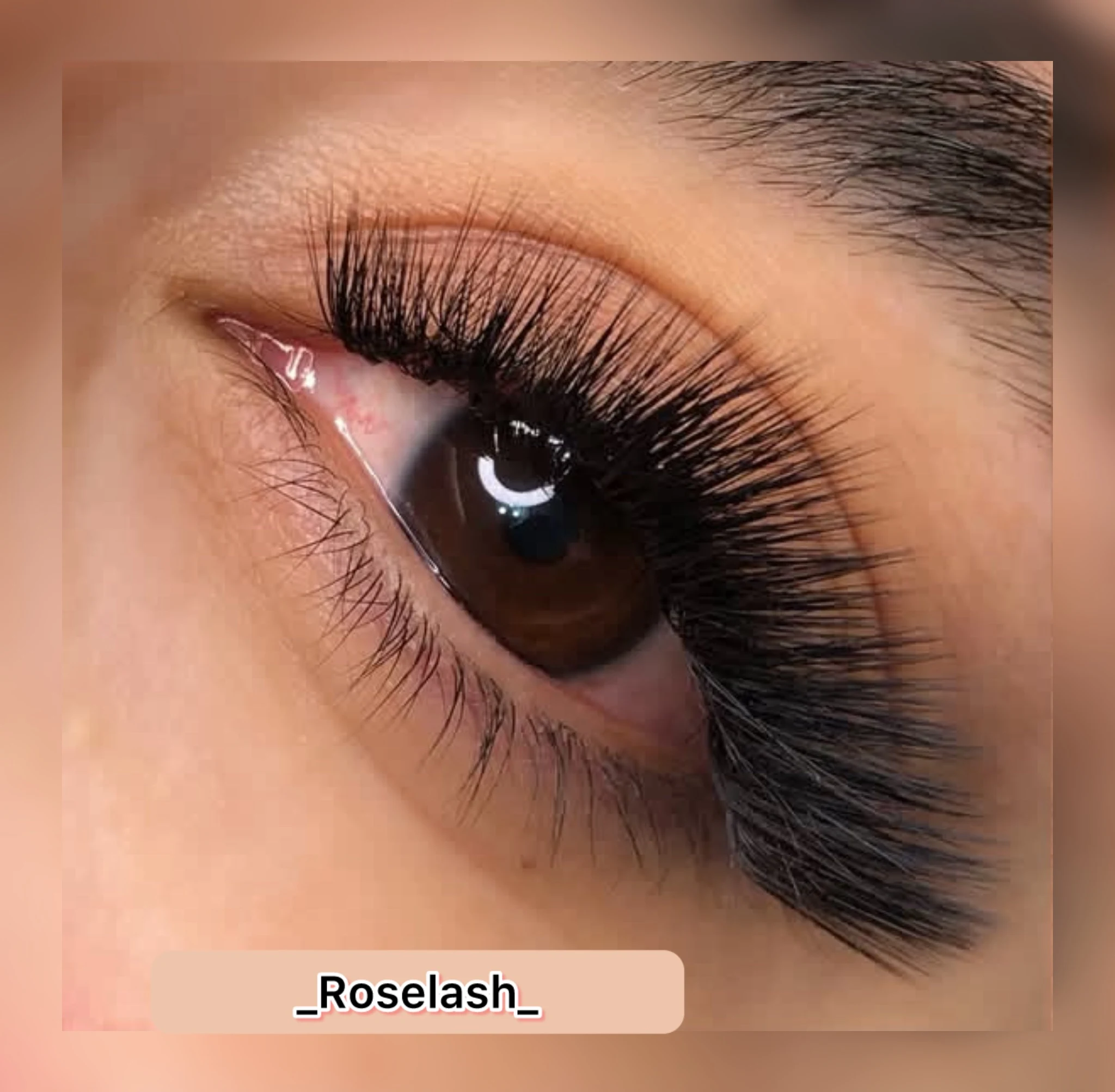 خدمات و آموزش اکستنشن مژه رز