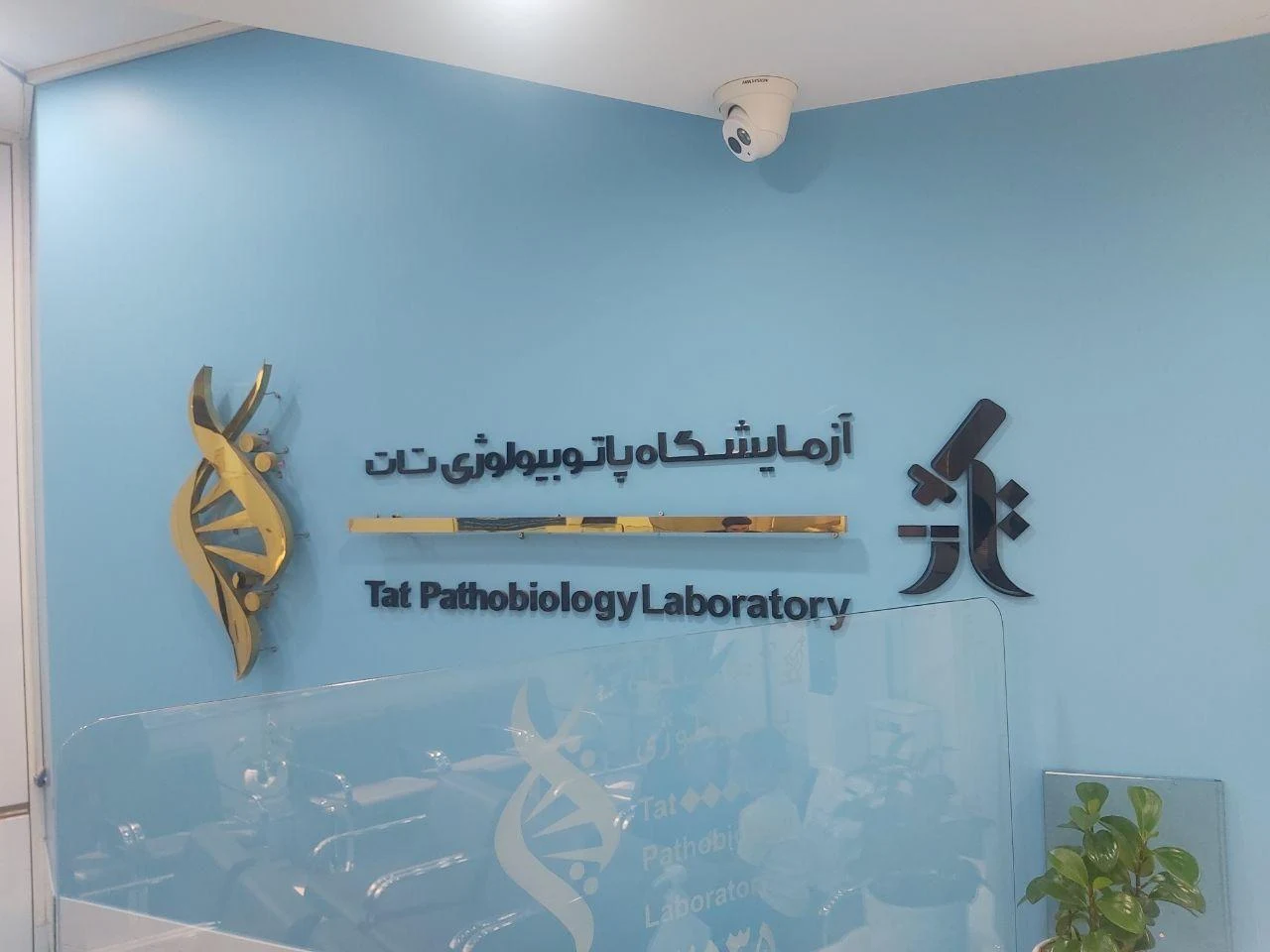 آزمایشگاه تشخیص طبی تقوی - تصویر 4
