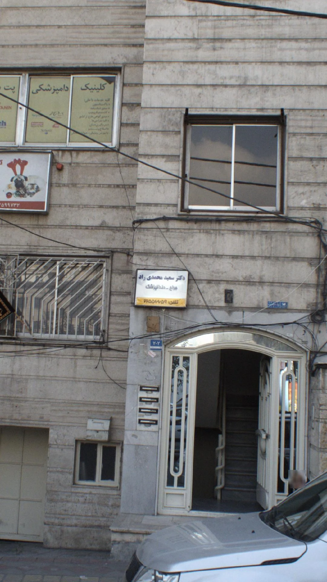 دکتر سعید محمدی راد