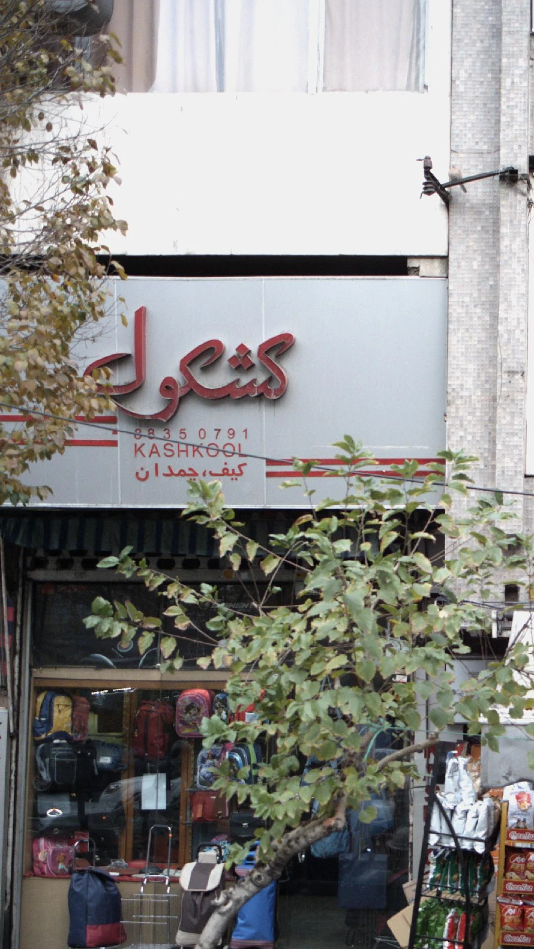 کشکول