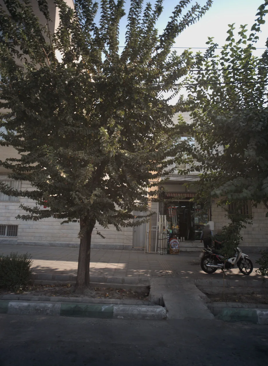 تزیینات طالبی