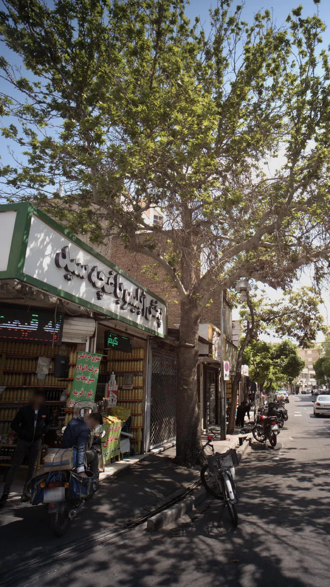 پخش آبلیمو باغچعه سید
