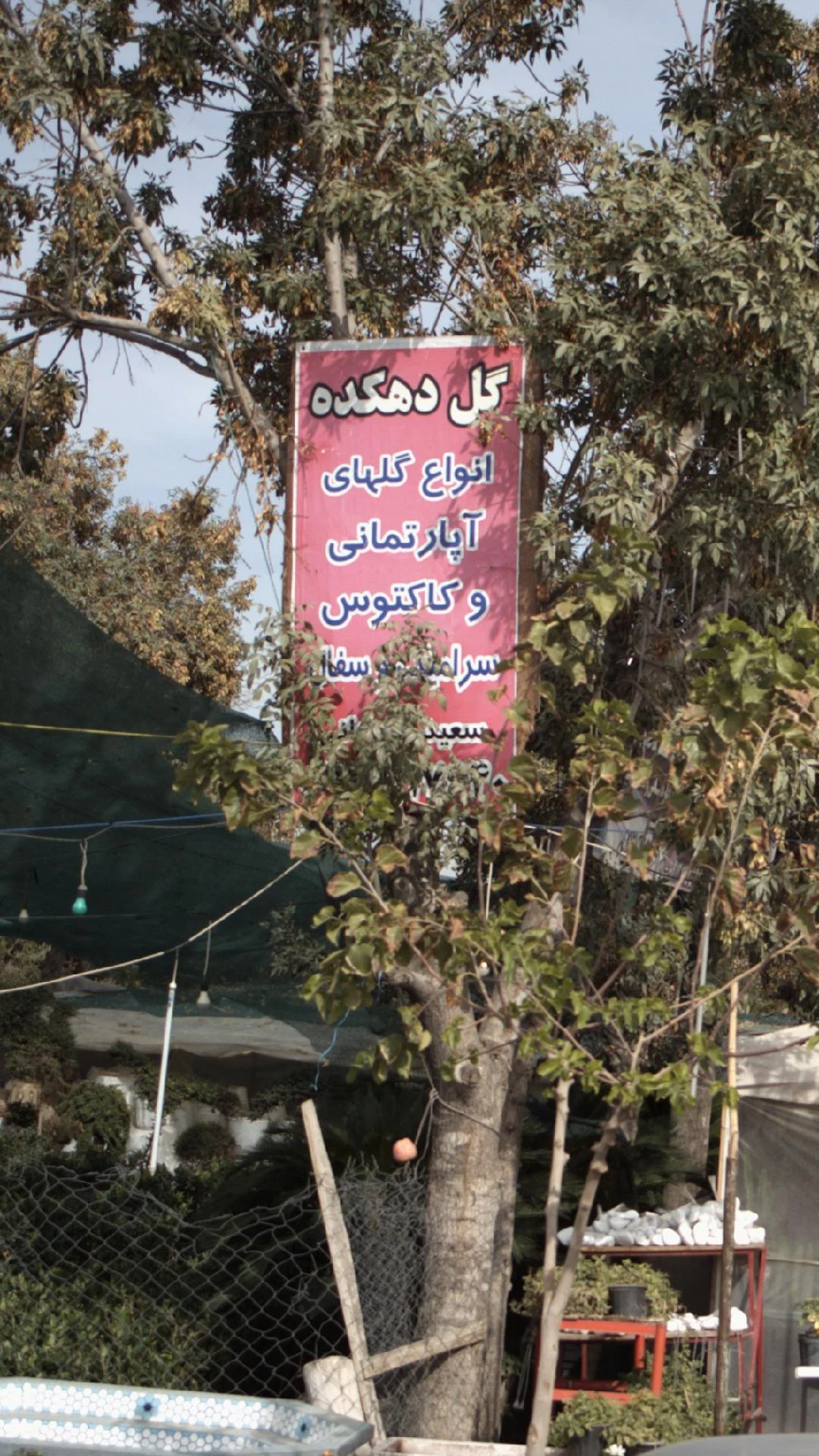 گل دهکده