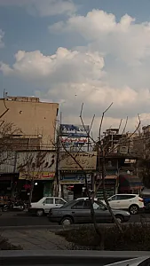 سنگ صدف
