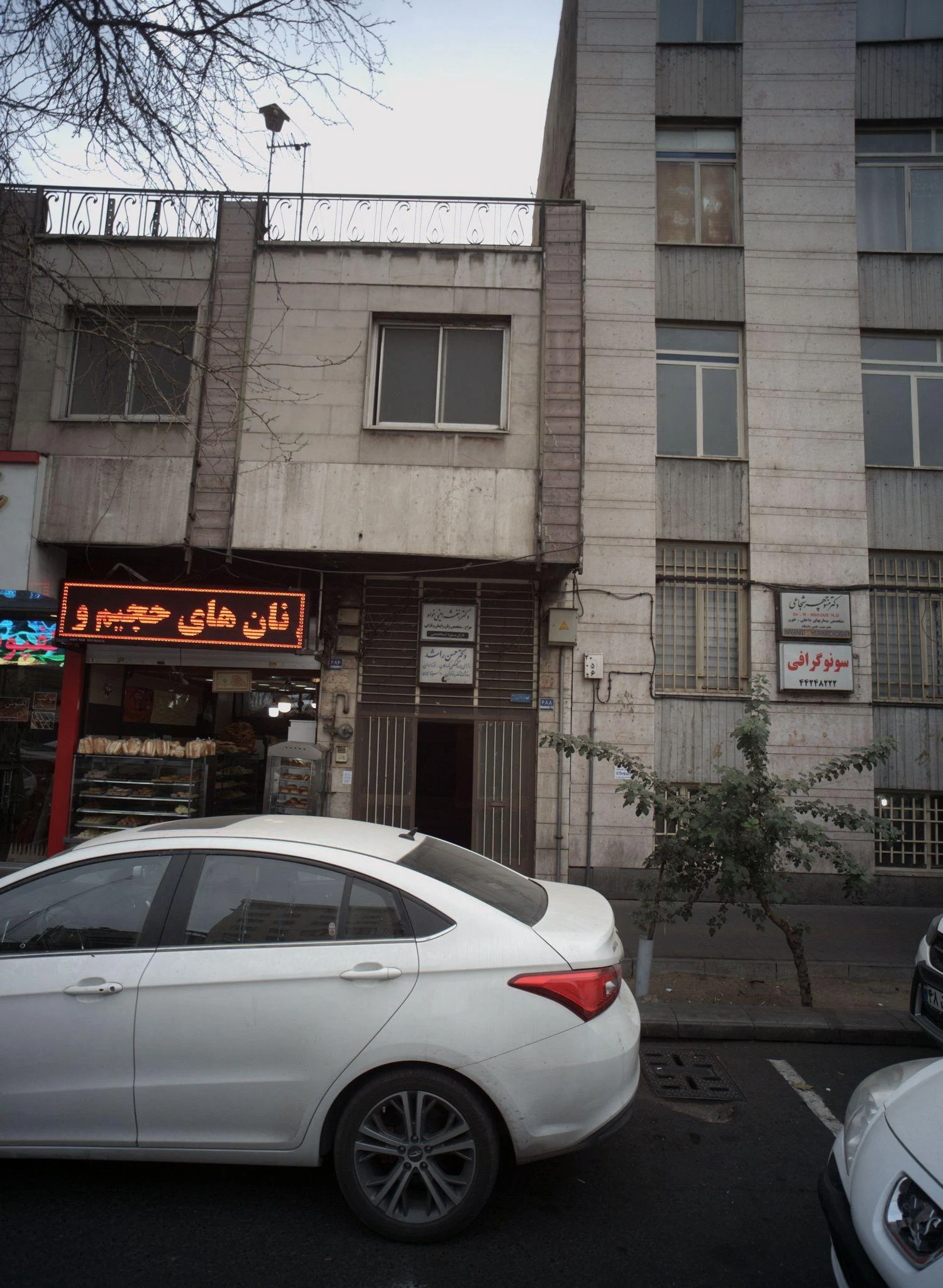دکتر بنفشه امینی خواه