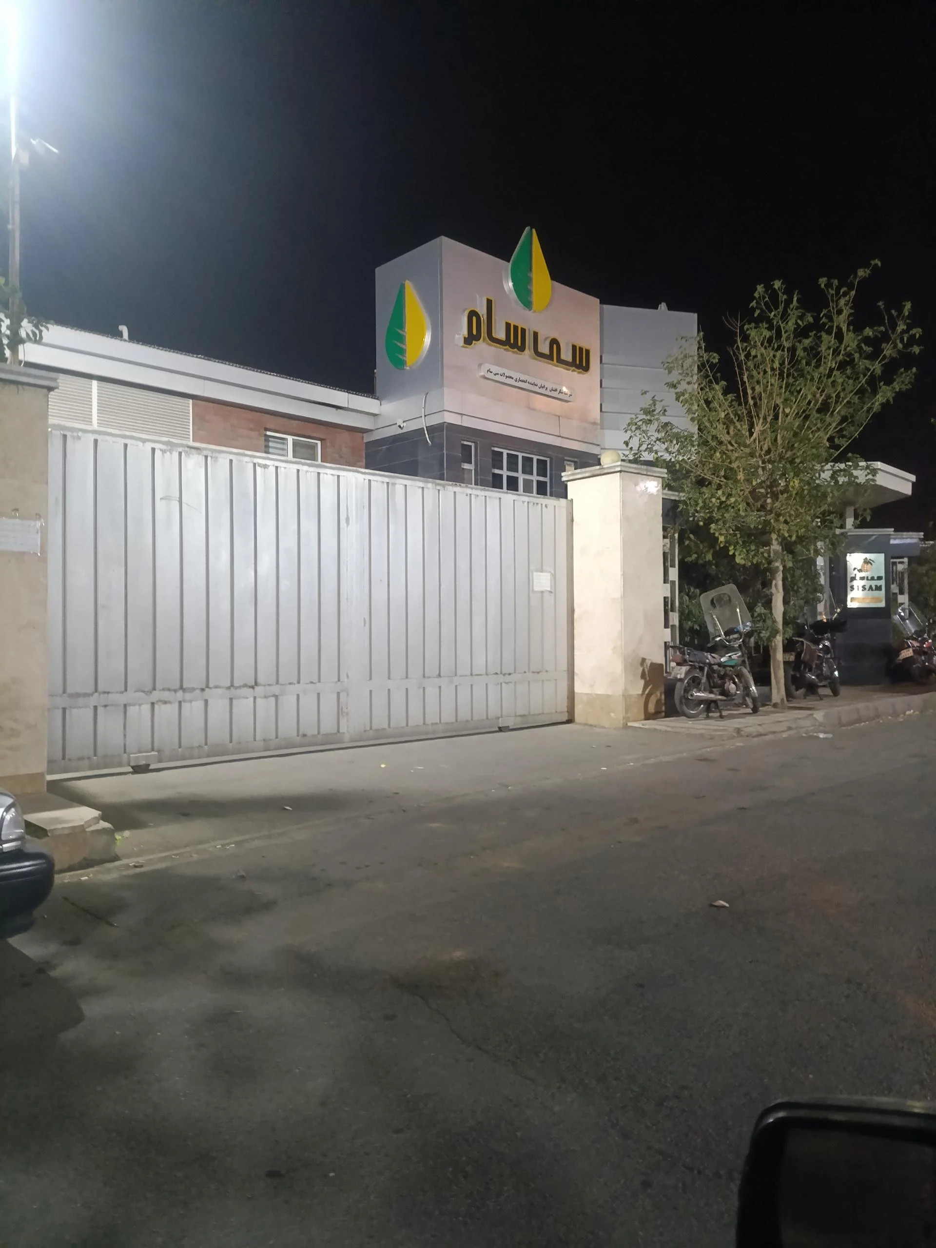 رسام نگار جاوید - تصویر 2