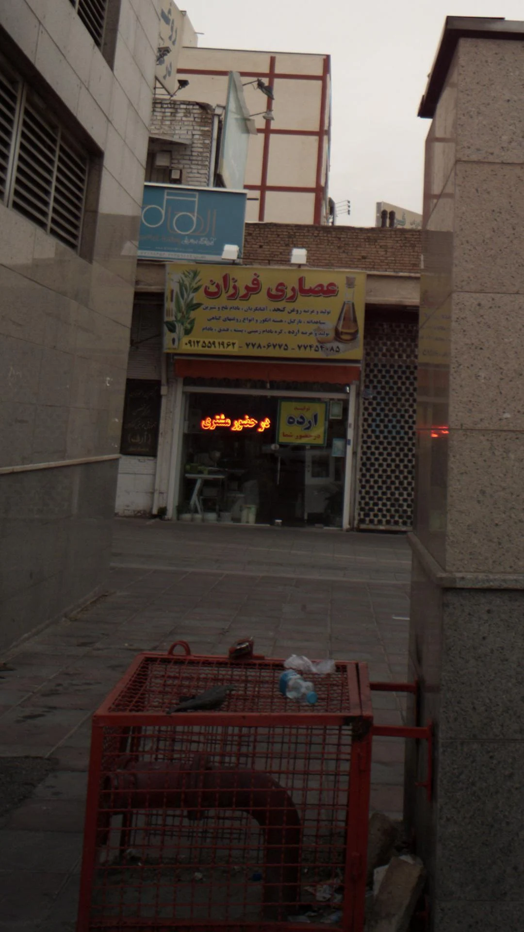 عصاری فرزان - تصویر 2
