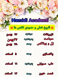 آکادمی استاد حمیدی پور