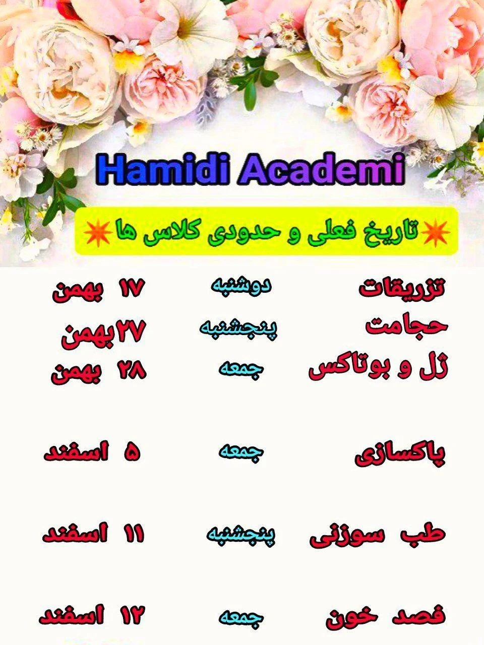 آکادمی استاد حمیدی پور