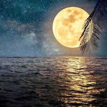لوگوی نصب دوربین مداربسته و آنتن مرکزی سعید موسائی