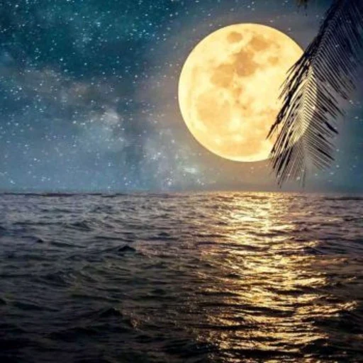 لوگوی نصب دوربین مداربسته و آنتن مرکزی
