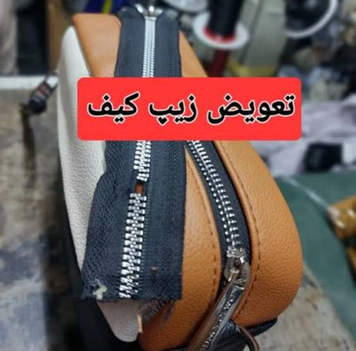 کفاشی محمود - تصویر 4