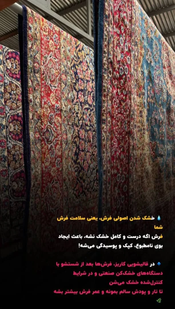 قالیشویی کاریز هشتگرد - تصویر 6