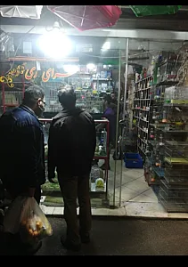 کلبه حیوانات
