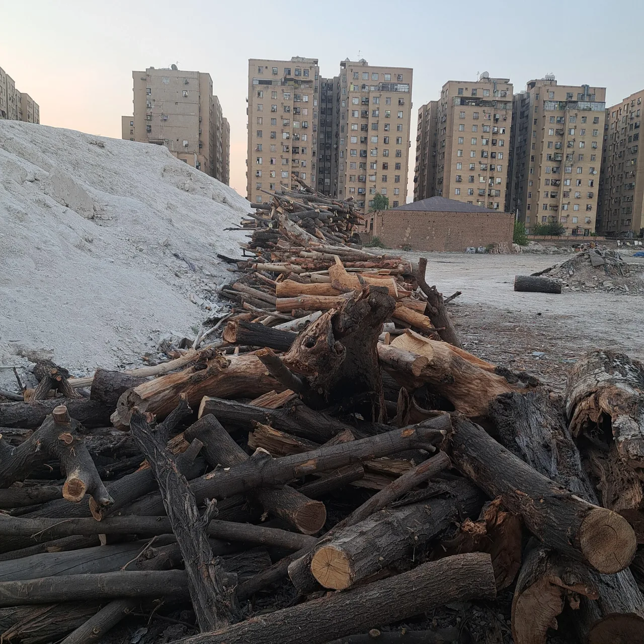 چوب فروشی - تصویر 2