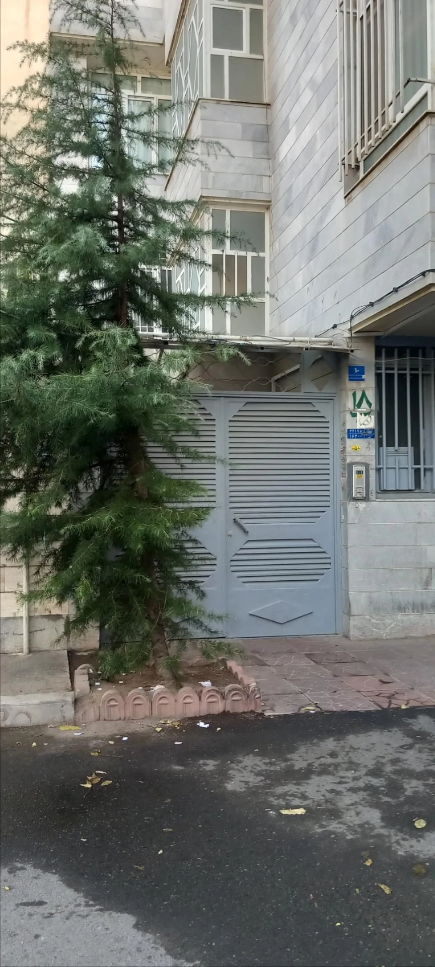 پارس لنز