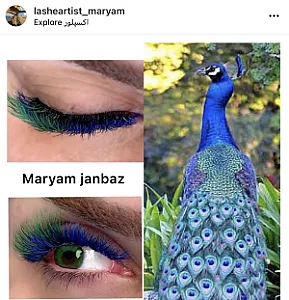 مرکزتخصصی مژه مریم جانباز