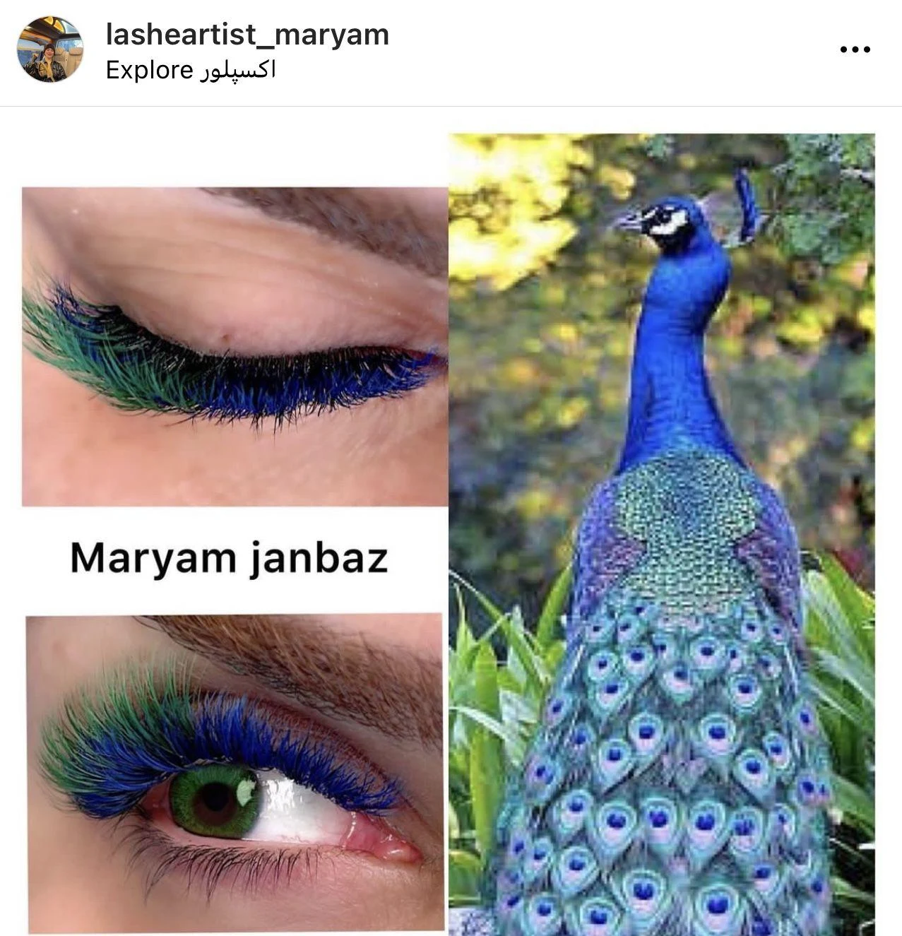 مرکزتخصصی مژه مریم جانباز