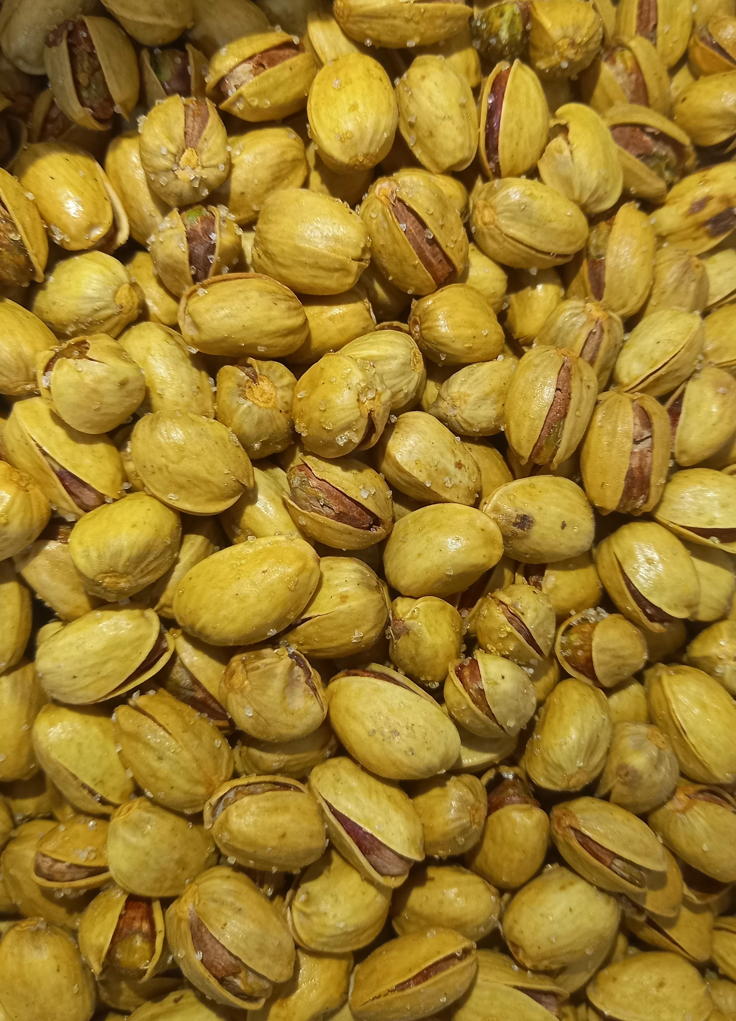 پسته ارگانیک خراسان