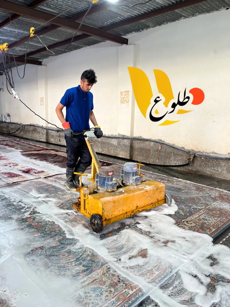 قالیشویی طلوع - تصویر 3
