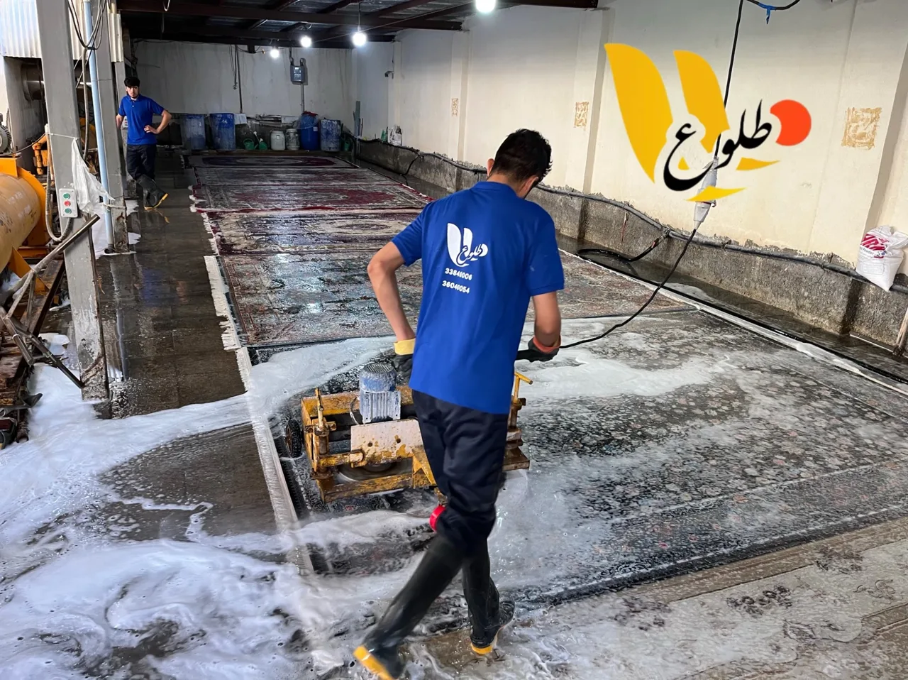 قالیشویی طلوع - تصویر 5