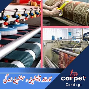 قالیشویی زندگی