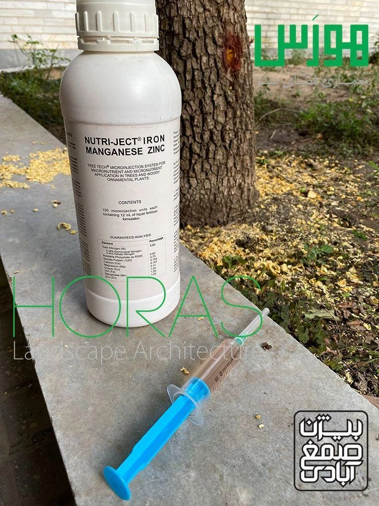 جابجایی درخت و باغبانی هورس - تصویر 3