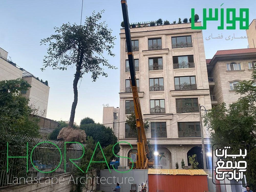 جابجایی درخت و باغبانی هورس - تصویر 5