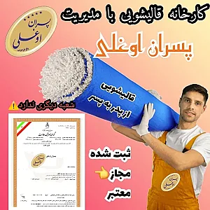 قالیشویی مبل شویی پسران اوغلی غرب و شمال