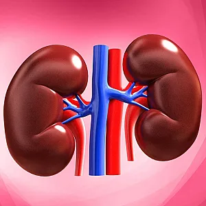 دکتر سپیده حاجیان