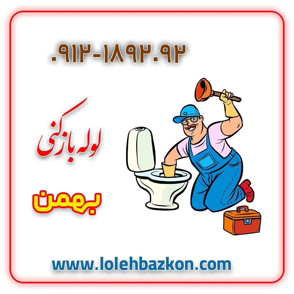 لوله بازکنی پیروزی _بهمن - تصویر 5