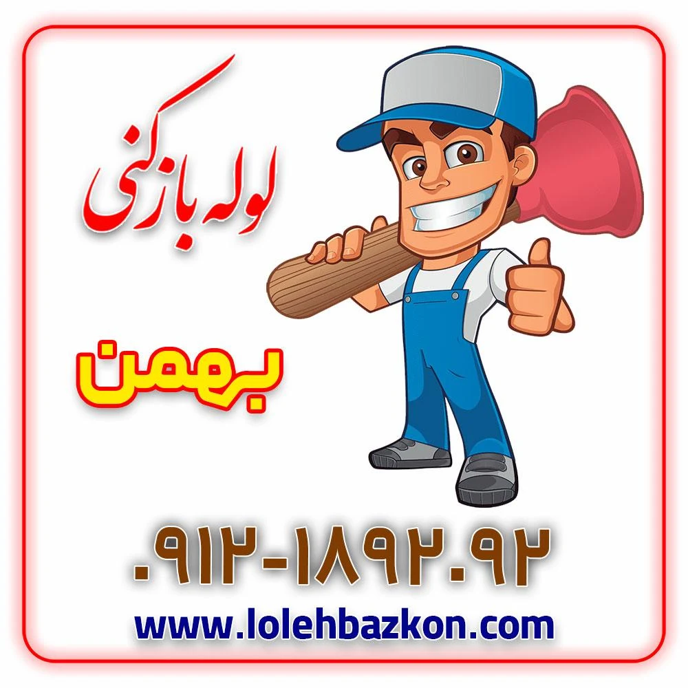 لوله بازکنی پیروزی _بهمن - تصویر 6