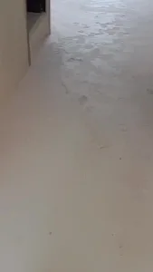زمانپور
