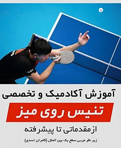 باشگاه تنیس روی میز، پینگ پونگ