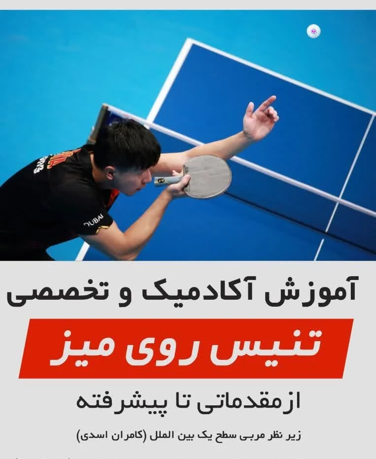 باشگاه تنیس روی میز، پینگ پونگ