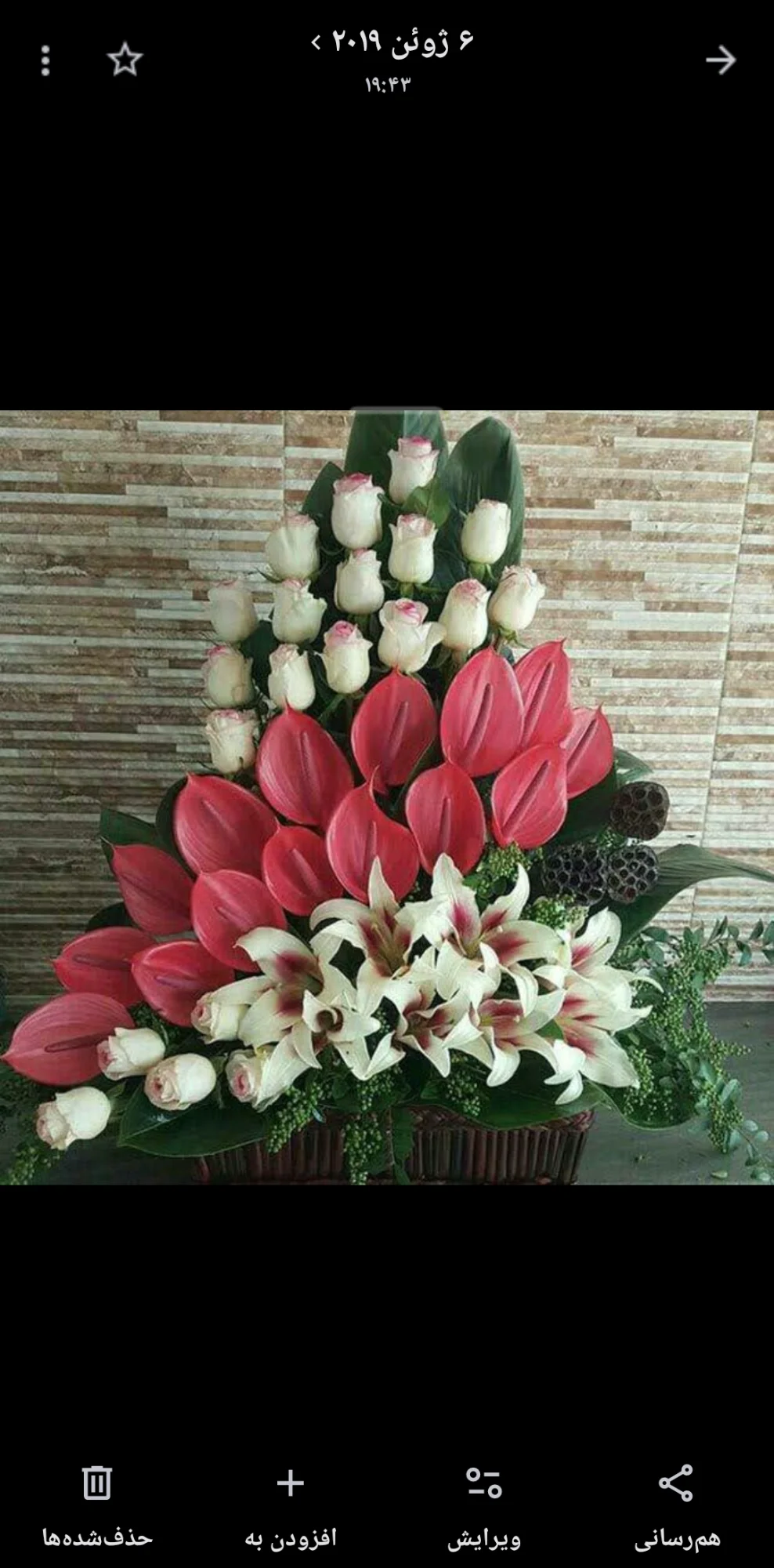 گلکده گل رز - تصویر 6