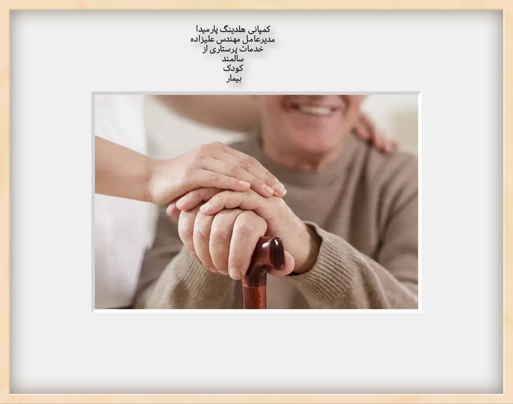 کمپانی هلدینگ پارمیدا - تصویر 8
