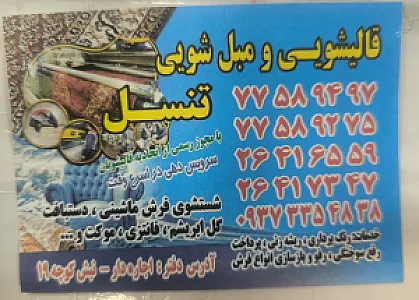قالیشویی تنسل ۲