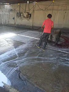 قالیشویی شهزاد