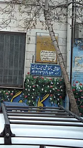 خطاطی ونقاشی چناری