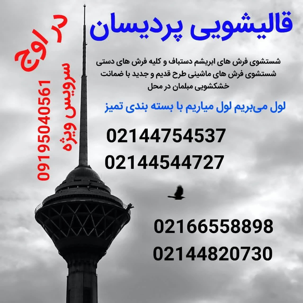 قالیشویی پردیسان - تصویر 4