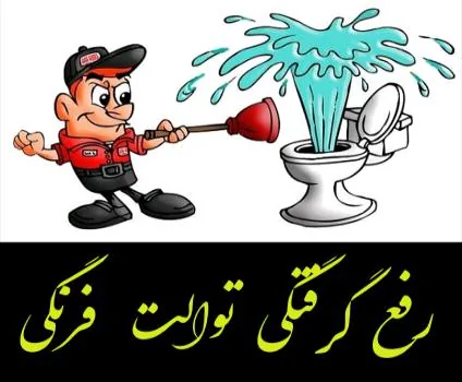 لوله بازکنی شیک بلوار اباذر کاشانی - تصویر 3