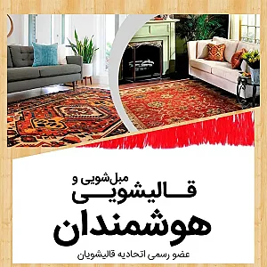 قالیشویی هوشمندان
