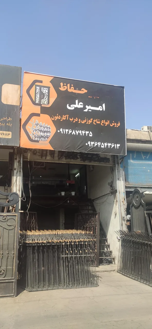 حفاظ امیر علی - تصویر 4